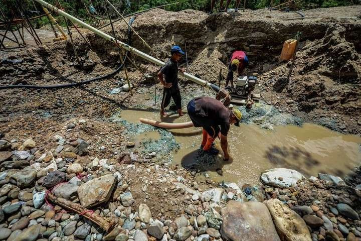 El Impacto de la Minería Ilegal en la Ecología Venezolana