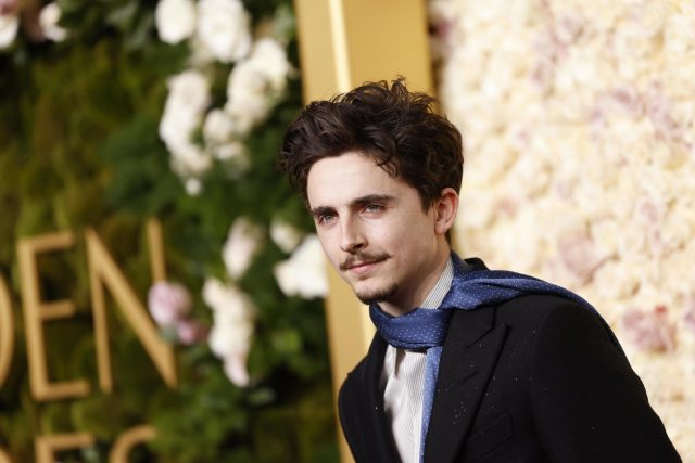 Timothée Chalamet