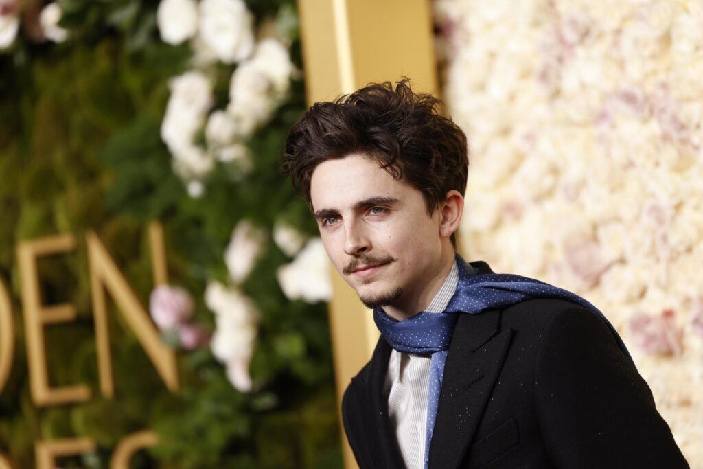 Timothée Chalamet