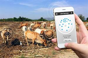 Treseus: Qué herramientas tecnológicas son más efectivas para la gestión ganadera