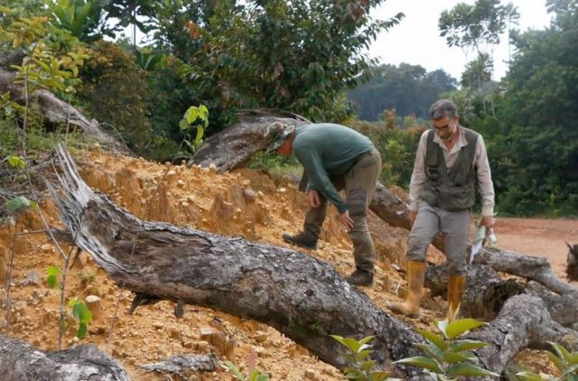 El Sumario - Estudio revela la adaptación humana a la selva tropical adaptación humana