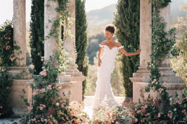 El Sumario - Disney presenta una colección de vestidos de novia Vestidos de novia Disney
