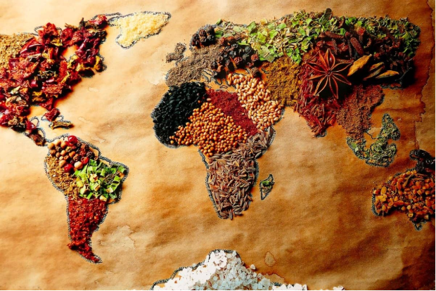 Los Principales Ingredientes que Definen una Gastronomía