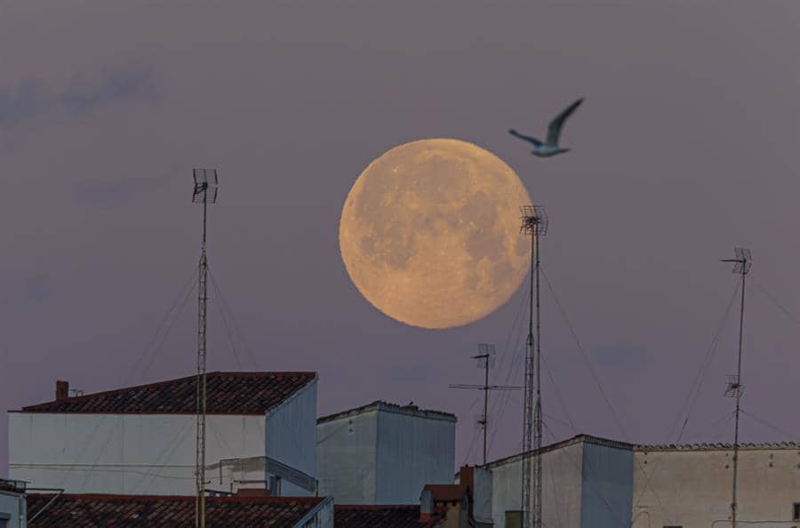 Blue Ghost logra perforar la Luna y probar sistema resistente a radiación espacial