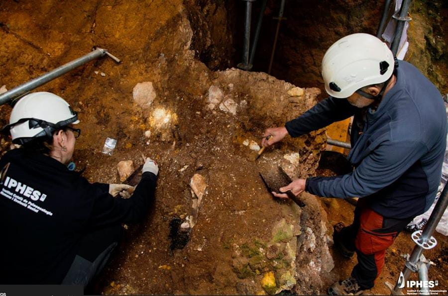 Hallan restos de una especie humana nueva de 1,4 millones de años