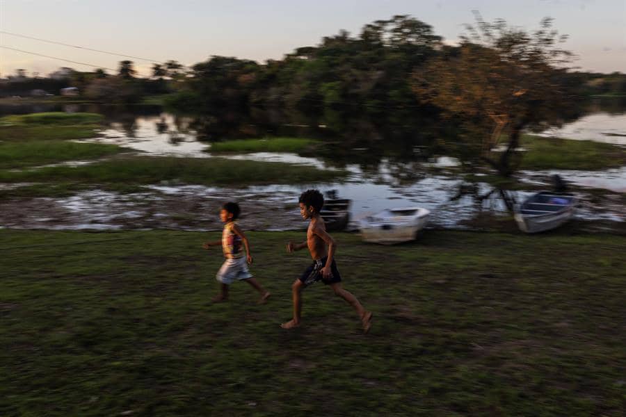 Desarrollan sistema para gestionar y conservar la selva amazónica