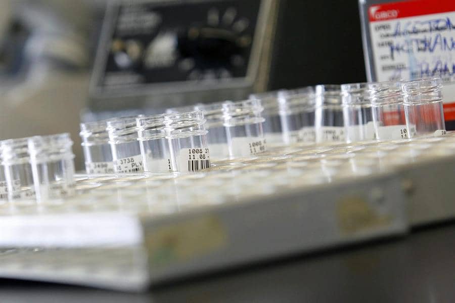 Desarrollan una estrategia para reducir la resistencia a antibióticos