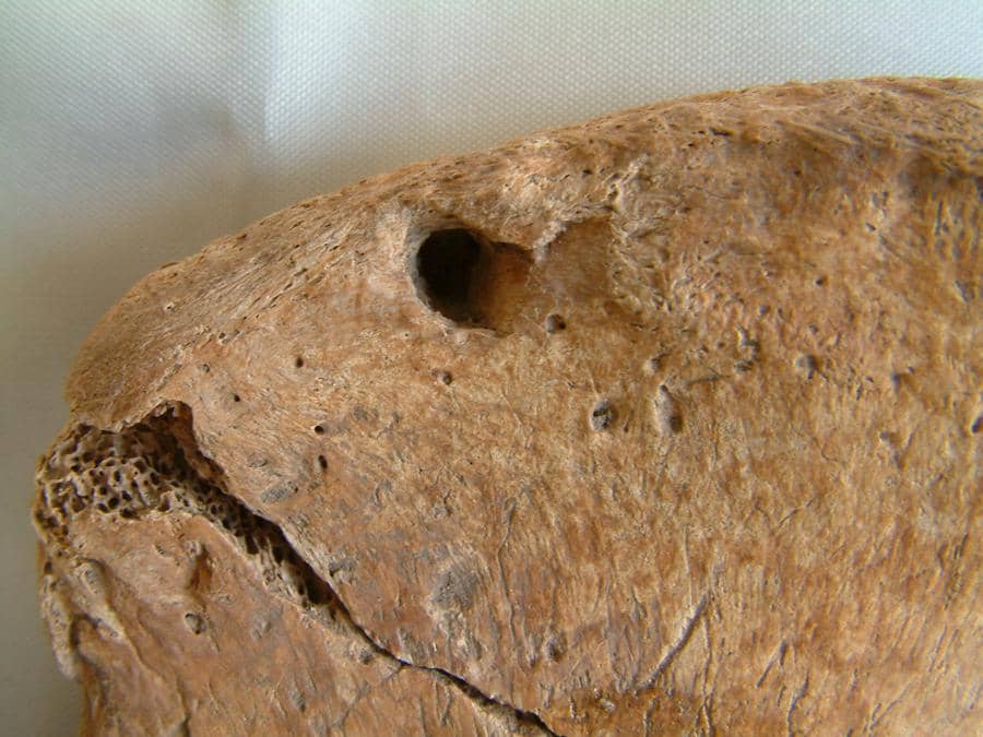 Descubren restos de un gladiador que luchó contra un león en show romano