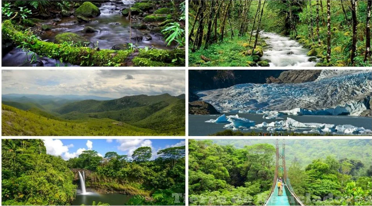 Ecosistemas de Venezuela: Diversidad y Biodiversidad por Hjalmar Jesús Gibelli Gómez