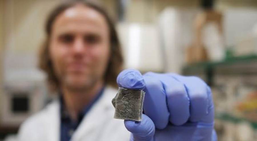 Crean un material basado en algas capaz de generar electricidad