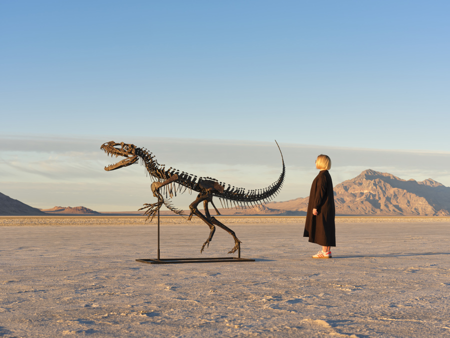 Subastarán un Ceratosaurus, único ejemplar de esta especie