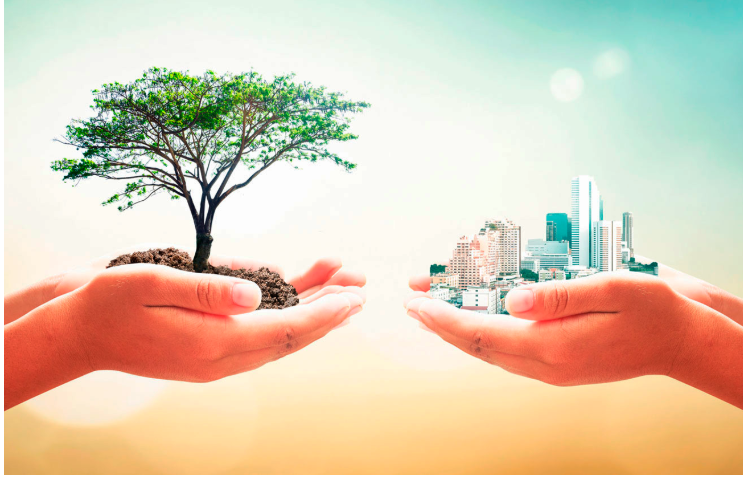 Hjalmar Jesús Gibelli Gómez | Qué Importancia Tiene la Ecología en Nuestro País (España)