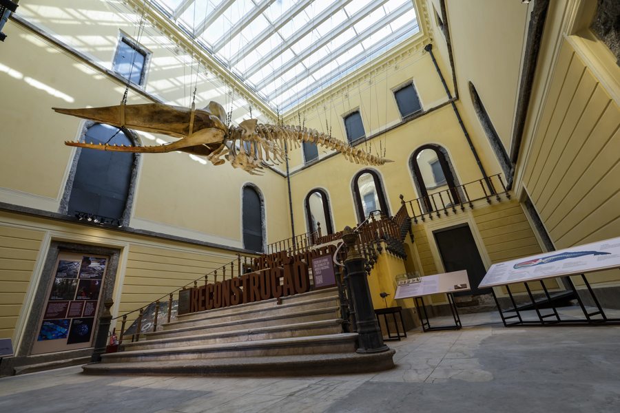 Museo Nacional de Brasil reabre luego de incendio hace siete años