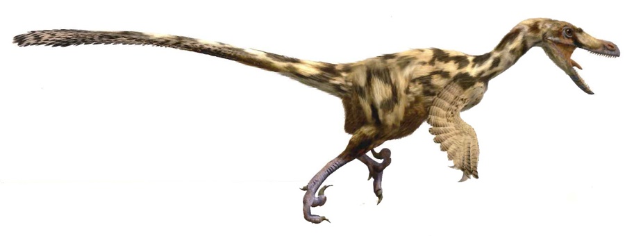 Revelan que en Pirineos había gran diversidad de dinosaurios carnívoros