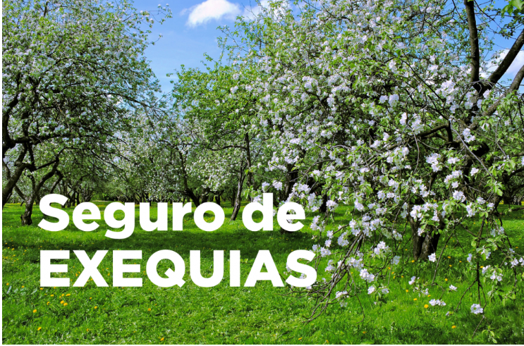 Más Allá del Último Adiós: Qué es un Seguro de Exequias y Por Qué Es una Inversión en Tranquilidad