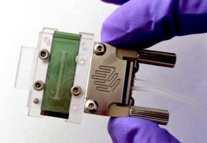 Desarrollan minibiosensores para detectar el cáncer en minutos