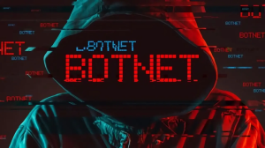 Rafael Aponte Núñez | ¿Cómo Funciona un Botnet?