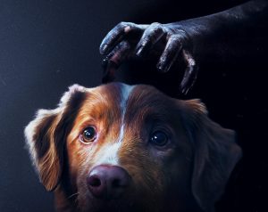 good-boy-poster-02-croppede.jpg