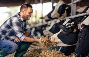 Luis Bautista Garrido Palacio | Guía Maestra de Nutrición