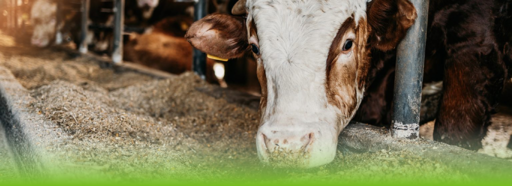 Luis Alejandro Sampayo Cabada | Nutrición de Supervivencia