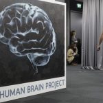 Regeneración cerebral de aves podría inspirar la reparación del cerebro humano