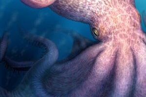Revelaron que pulpos gigantes dominaron los mares durante el Cretácico