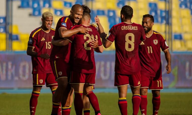 Vinotinto