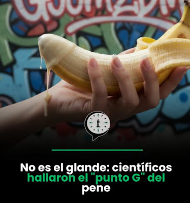 El punto G del pene