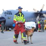 Bomberos, perros, drones, forenses: ayuda internacional en Venezuela