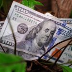 La Capsula Informativa: Las ofertas de este fin de semana