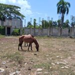 La Capsula Informativa: Maestros denuncian abandono de escuelas y presuntas irregularidades en Educación en Cotuí