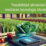 Guía de Trazabilidad Blockchain: Cumplimiento y seguridad en la distribución alimentaria por Santiago Uzcátegui Pinto