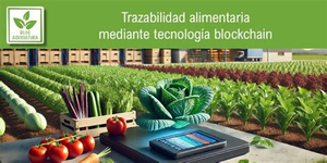 Guía de Trazabilidad Blockchain: Cumplimiento y seguridad en la distribución alimentaria por Santiago Uzcátegui Pinto