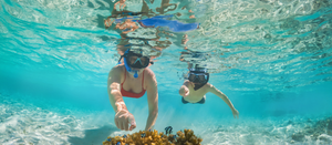 Buceo y Turismo, Deportes Acuáticos por Alberto Constantino Konrad Davila